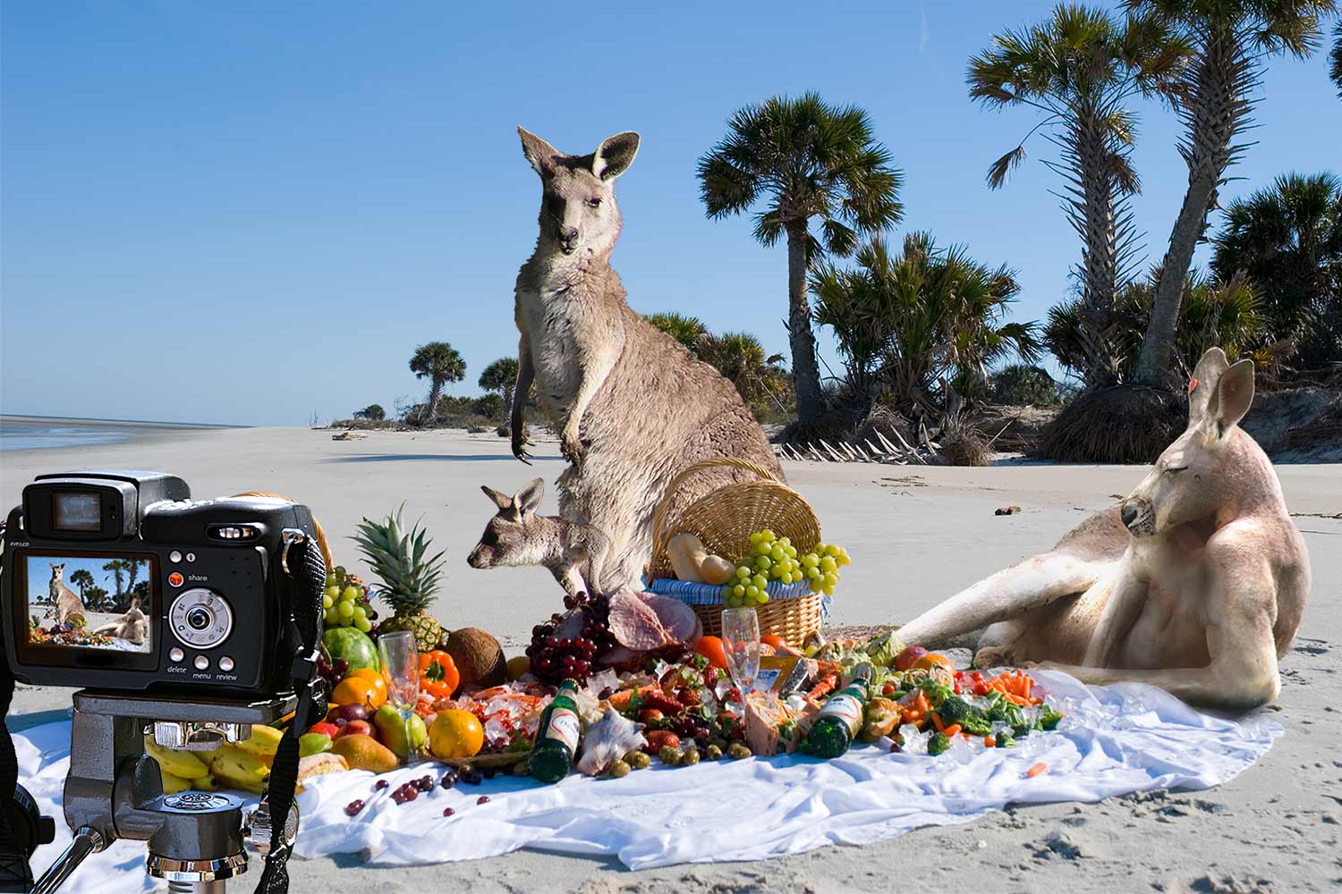 Photoshop Design by Onepixel for DesignCrowd (Community Contests) | Design #8954185