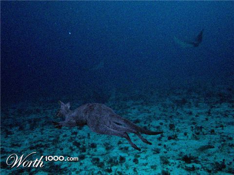 Photoshop Design by exige666