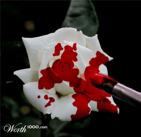Photoshop Design by pandora298