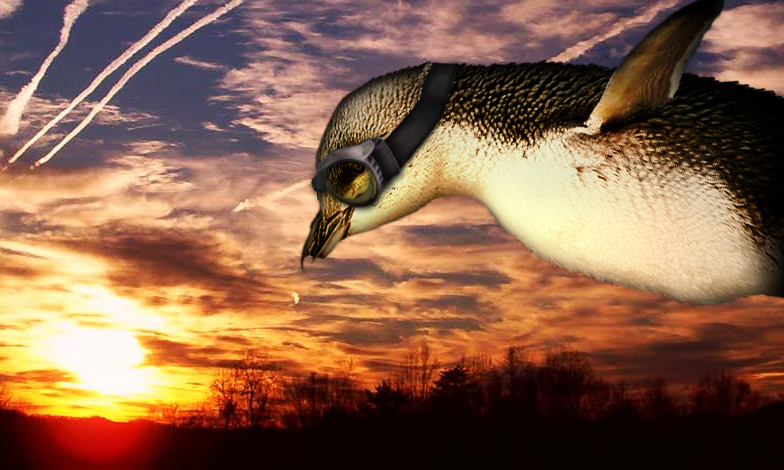 Design Photoshop par jbuchmann55 pour DesignCrowd (Community Contests) | Design #8953877