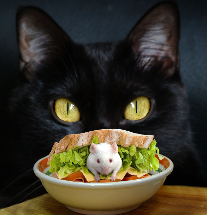 Photoshop Design by riddle for DesignCrowd (Community Contests) | Design #8953912