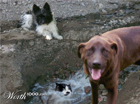 Photoshop Design by kathiess