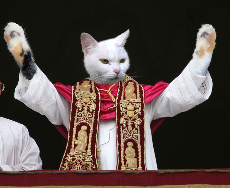 Photoshop Design by ilovekarate for DesignCrowd (Community Contests) | Design #8953898