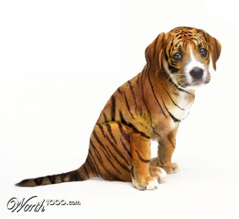 Photoshop Design by M2Bala