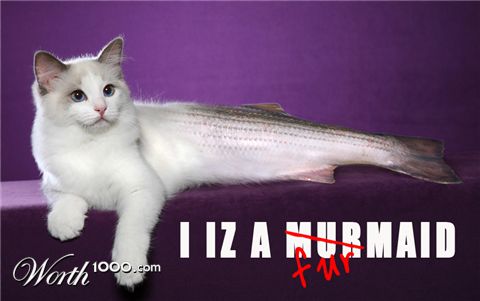 Photoshop Design by sugarcane