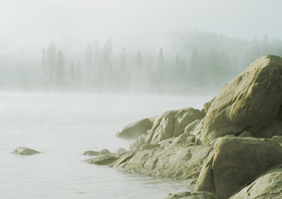 Photography by Larvice for DesignCrowd (Community Contests) | Design #8954182