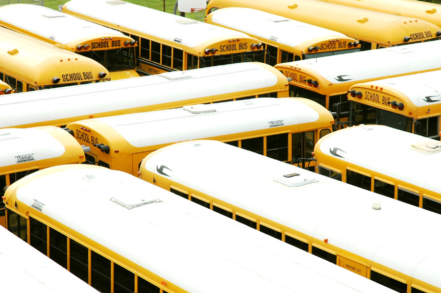 Photography by Larvice for DesignCrowd (Community Contests) | Design #8950854