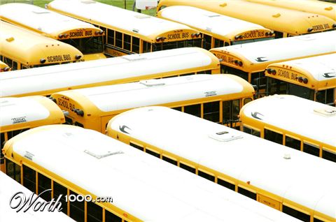 Photography by Larvice