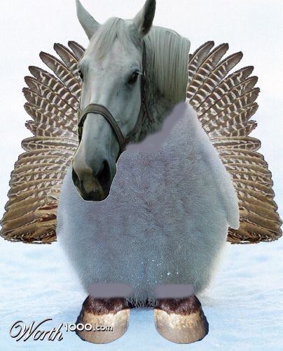 Photoshop Design by rickyg