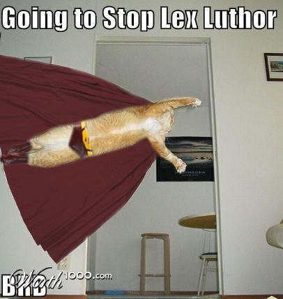 Photoshop Design by GutsAndGlory