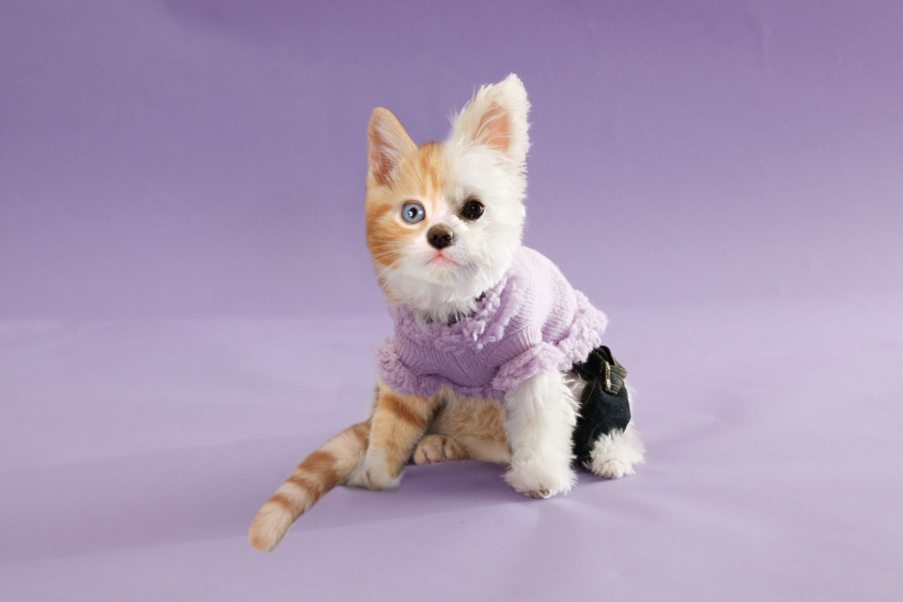 Photoshop Design by haileyniemand for DesignCrowd (Community Contests) | Design #8948877