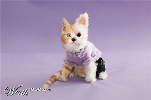 Photoshop Design by haileyniemand