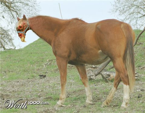 Photoshop Design by Larvice