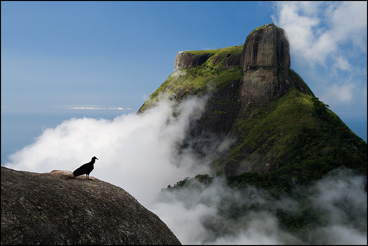 Photographie par Pr4ktic pour DesignCrowd (Community Contests) | Design #8954189