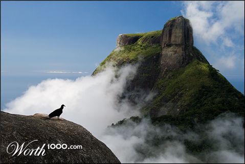 Photography by Pr4ktic