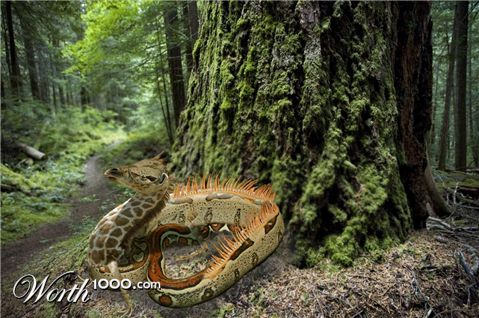 Photoshop Design by castagnes