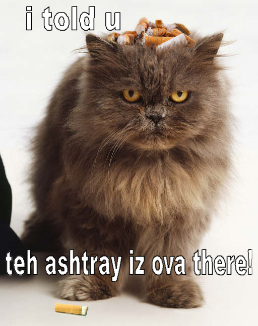 Photoshop Design by moo1cow2 for DesignCrowd (Community Contests) | Design #8945610