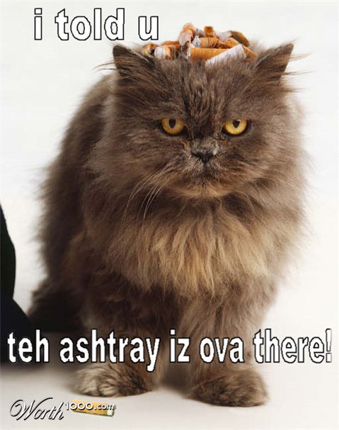 Photoshop Design by moo1cow2