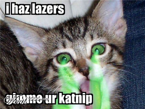 Photoshop Design by WolfPhotography