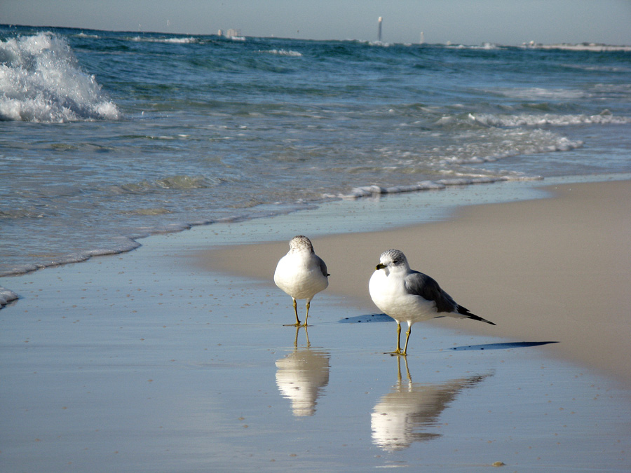 Photography by justvaz for DesignCrowd (Community Contests) | Design #8954118