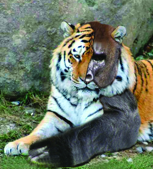 Photoshop-Design von piculini für DesignCrowd (Community Contests) | Design #8948974