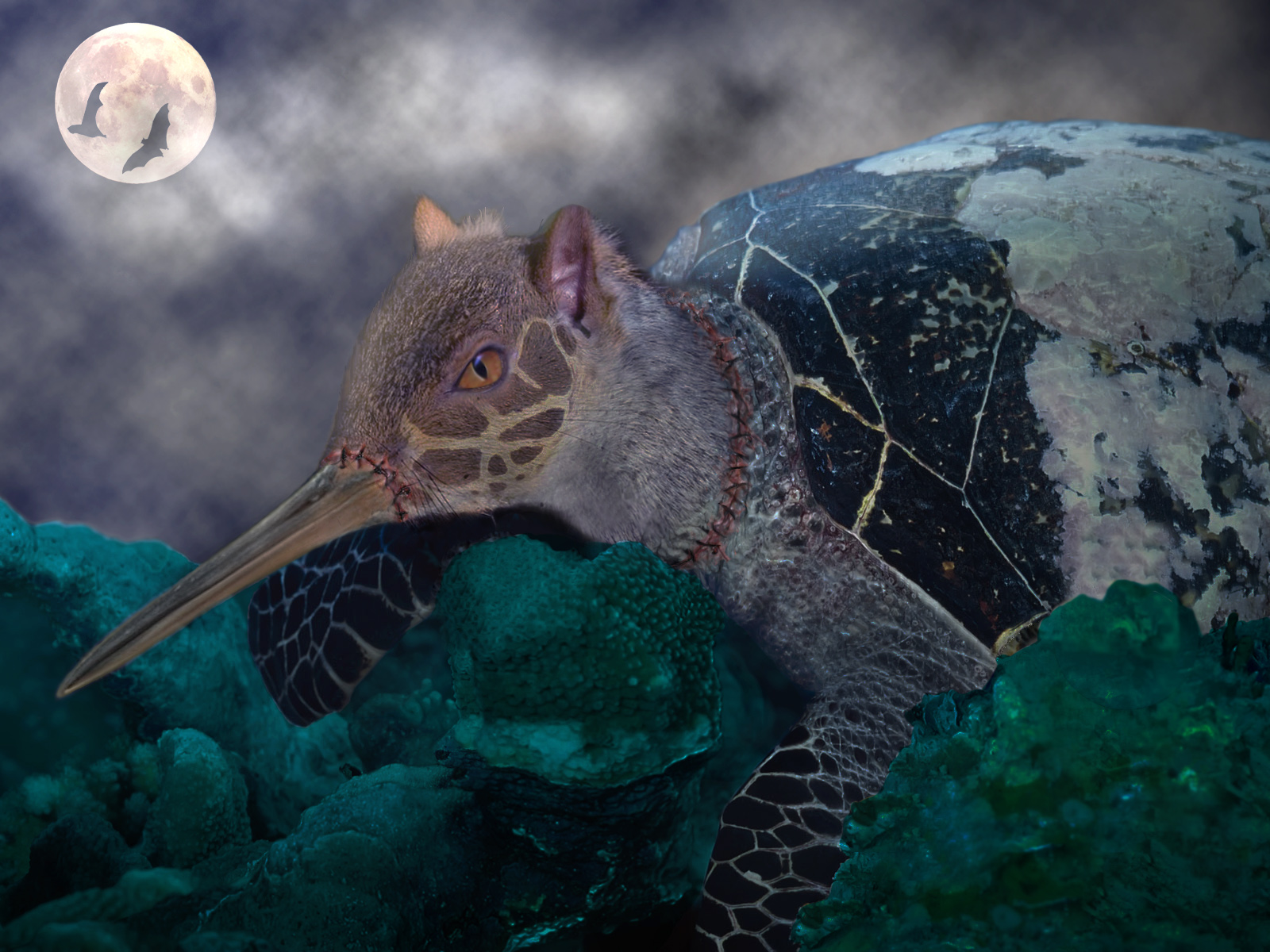 Photoshop Design by krical for DesignCrowd (Community Contests) | Design #8948964