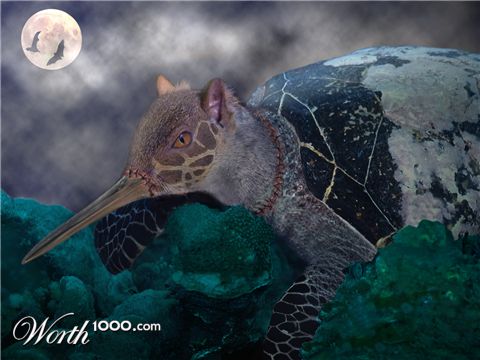 Photoshop Design by krical