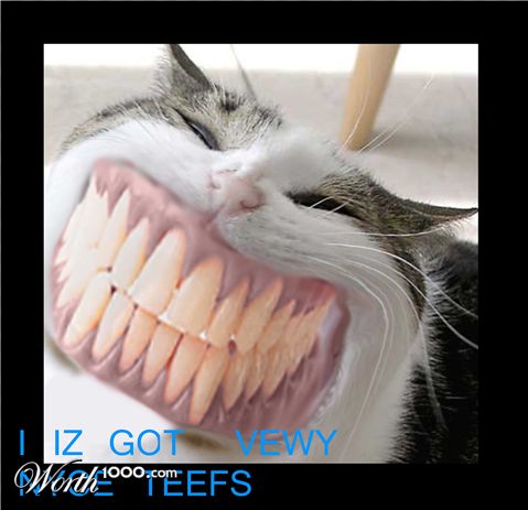 Photoshop Design by syrax2580