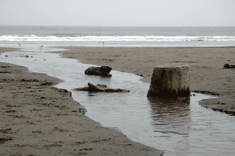 Photography by cameronsangel for DesignCrowd (Community Contests) | Design #8954206