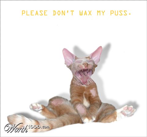 Photoshop Design by JANIELLE