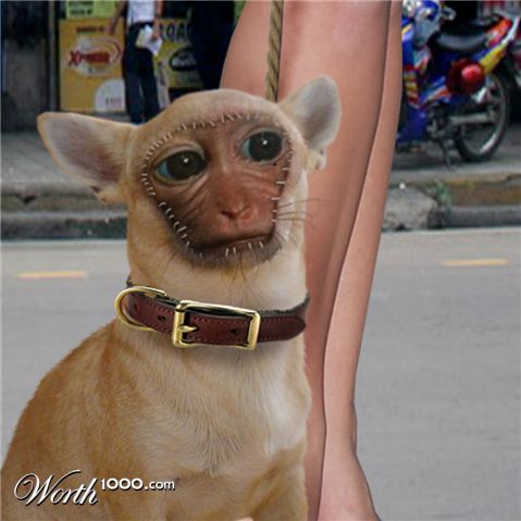 Photoshop Design by smokin