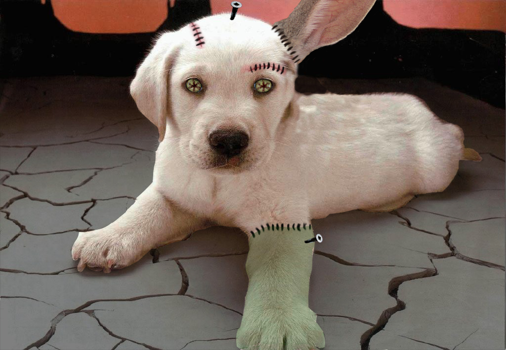 Diseño de Photoshop por Mitchie para DesignCrowd (Community Contests) | Diseño #8948966