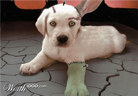 Photoshop Design by Mitchie