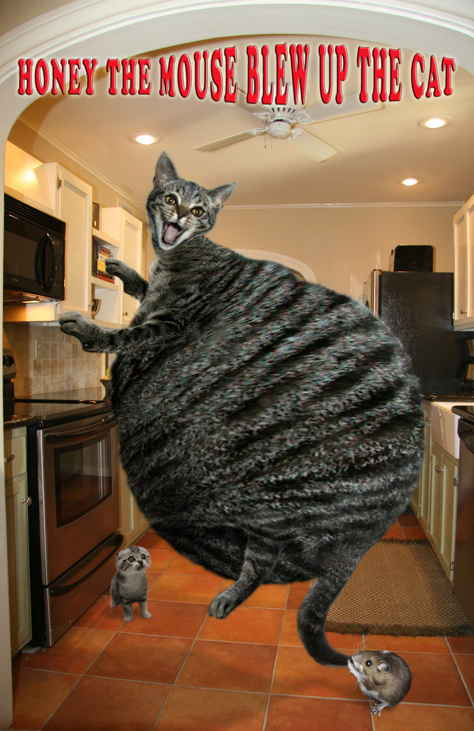 Diseño de Photoshop por dragonka para DesignCrowd (Community Contests) | Diseño #8945665