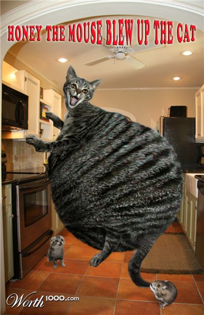 Photoshop Design by dragonka