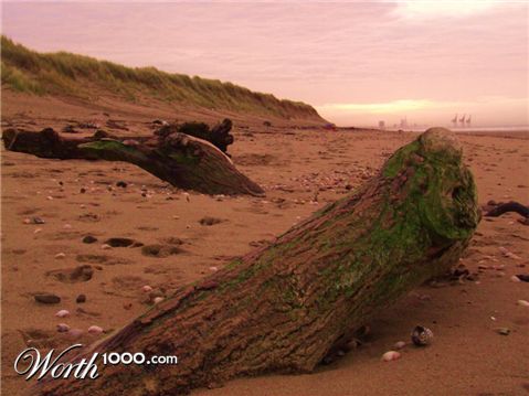 Photography by fotofanatic1