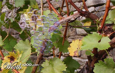 Photoshop Design by NuckleBerry6