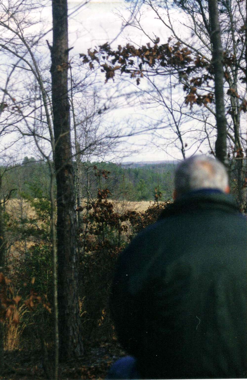 Photography by mindy3051 for DesignCrowd (Community Contests) | Design #8954241