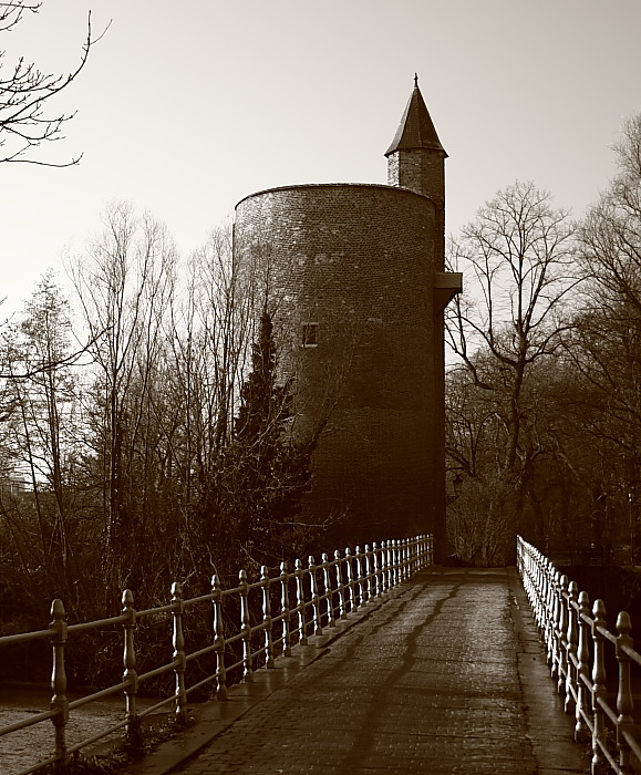 Photography by LucasService for DesignCrowd (Community Contests) | Design #8950940