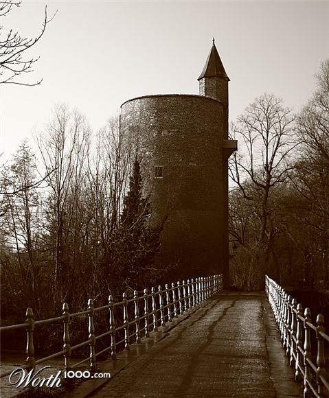 Photography by LucasService