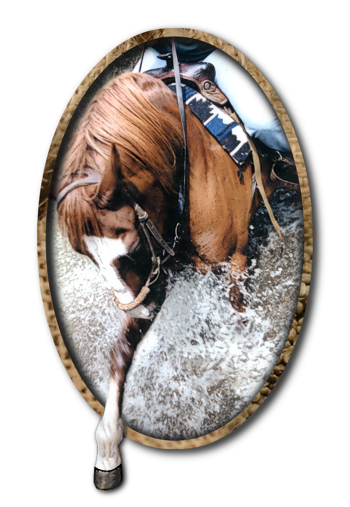 Photoshop Design by palomino1970 for DesignCrowd (Community Contests) | Design #8955859