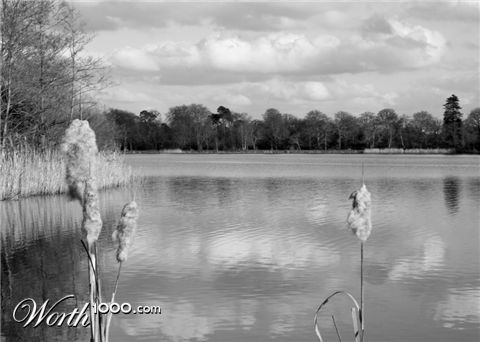 Photography by FrangosA