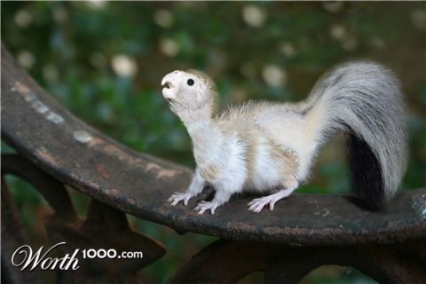 Photoshop Design by starrwalker