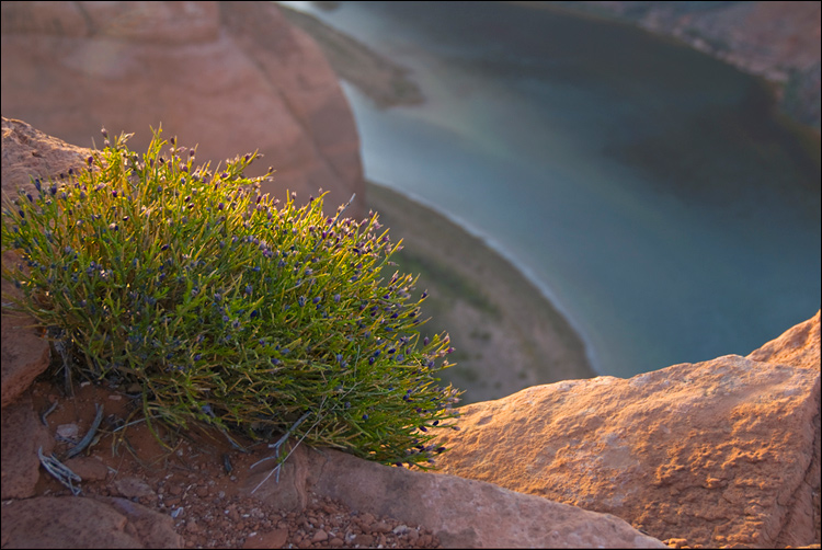 Photography by squaredd for DesignCrowd (Community Contests) | Design #8954109