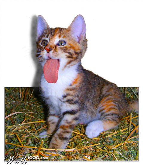 Photoshop Design by ama168