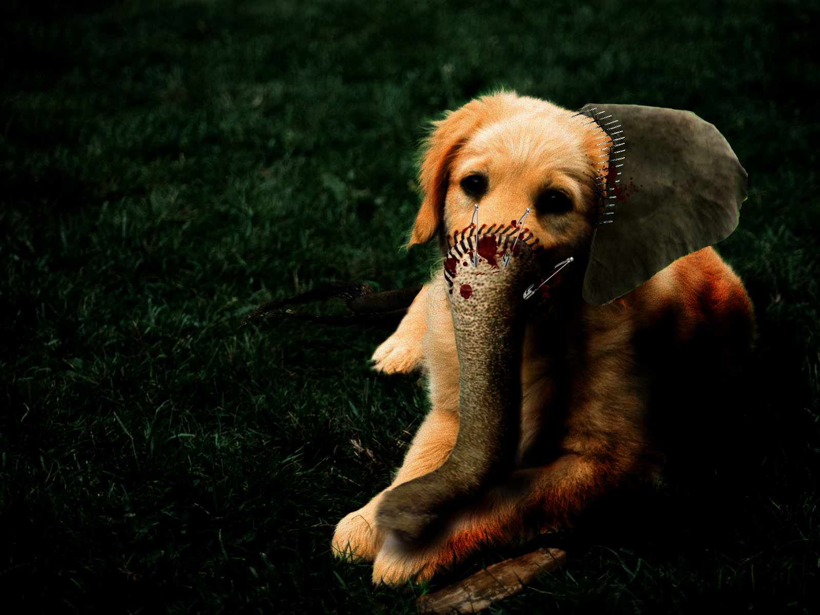 Design Photoshop par ivan123 pour DesignCrowd (Community Contests) | Design #8948932