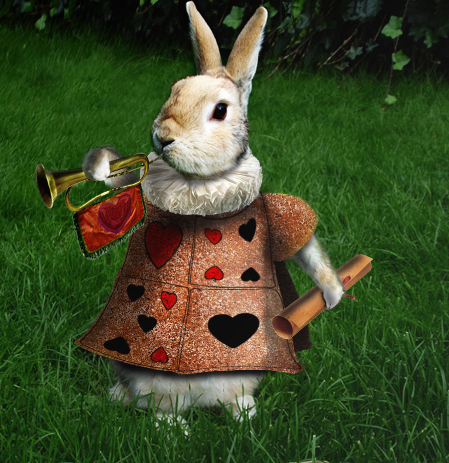 Photoshop Design by castiza for DesignCrowd (Community Contests) | Design #8949270