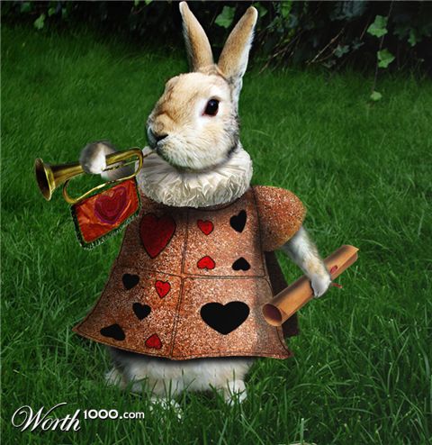 Photoshop Design by castiza