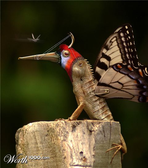 Photoshop Design by elessar006
