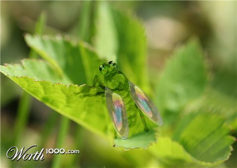 Photoshop Design by aleluja